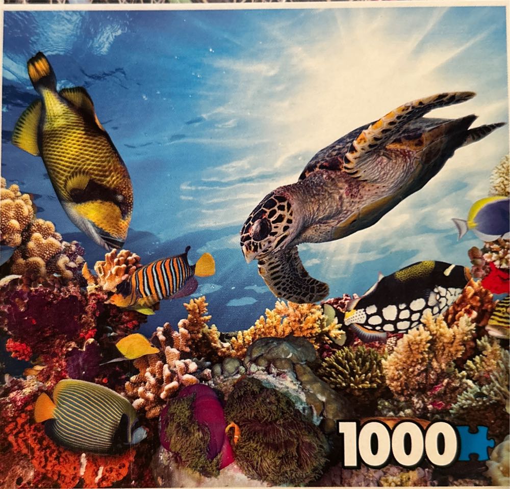 Photo Gallery 4 Pack - Sure  Lox puzzle collectible - Main Image 3