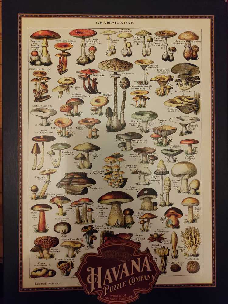 Throw Kindness Around Like Confetti