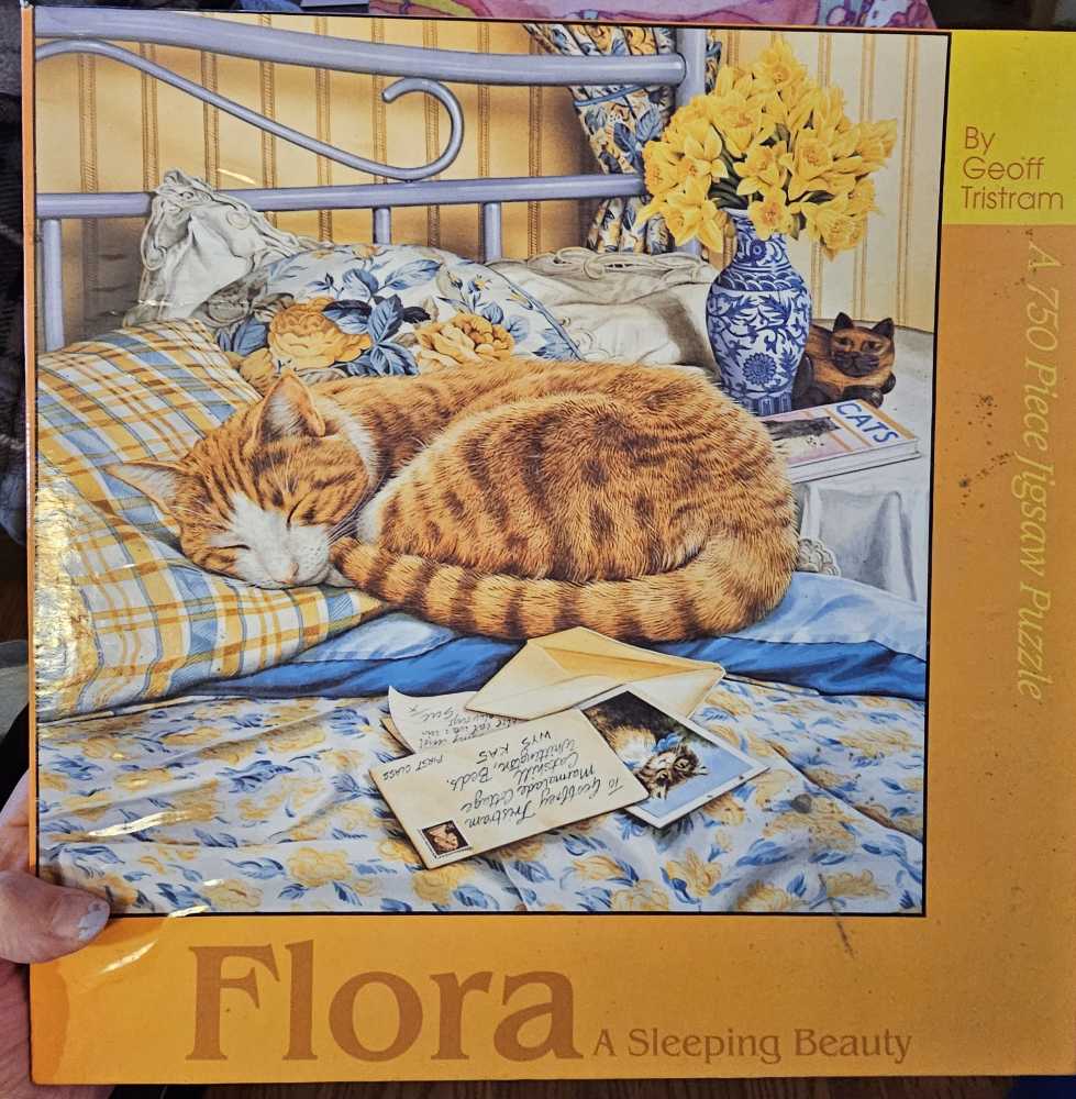 Usborne Jigsaw Puzzle And Coloring Book Cities Of The World 300 Pieces