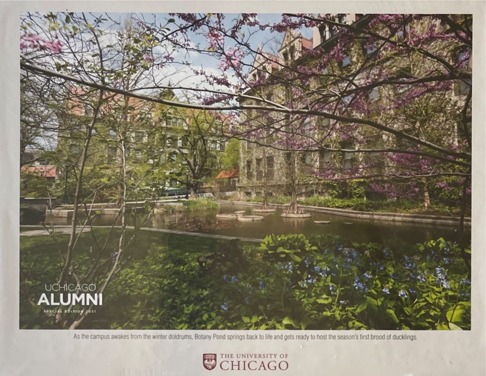 The University Of Chicago Botany Pond  - Puzzles Plus, Inc puzzle collectible - Main Image 2
