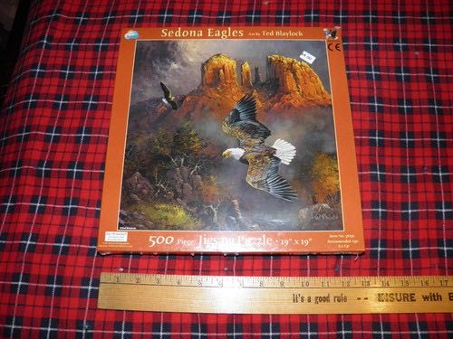 Endangered Species - Hawksbill Sea Turtle