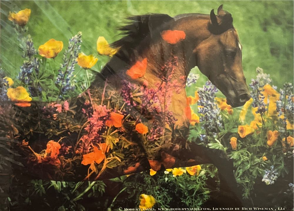 Igiby Kids - Wingfeather Saga