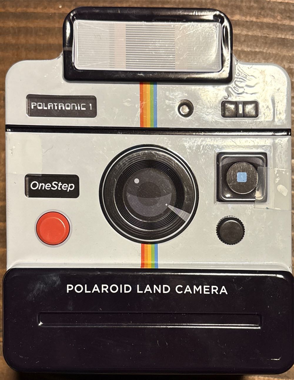 Calico Cat Sitting By Tea Set And Teddy Bear