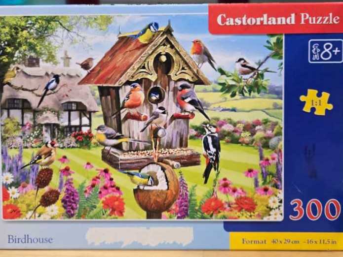 Songbirds Black Shop Bins