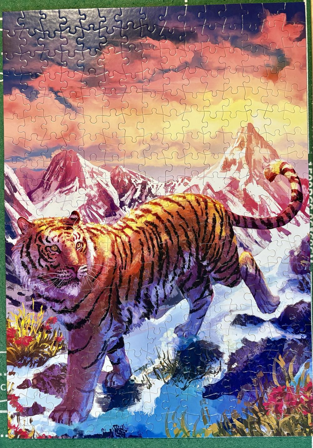 Buffalo Games Louise Goalby Endangered Large Piece Jigsaw Puzzle For Adults 14 And Up Challenging Puzzle Perfect For Game Nights Finished Puzzle Size Is 21.25 X 15.00 - Buffalo Games puzzle collectible [Barcode 079346231034] - Main Image 2