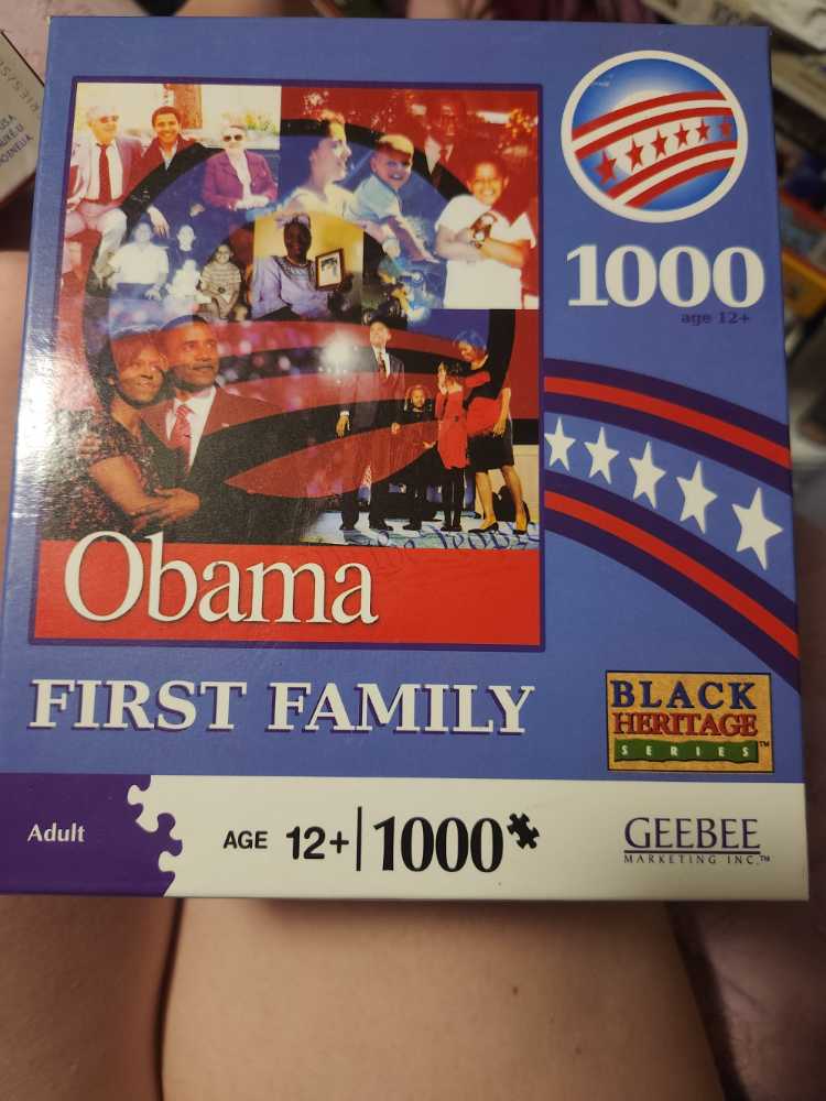 Vibrant Owl At Night