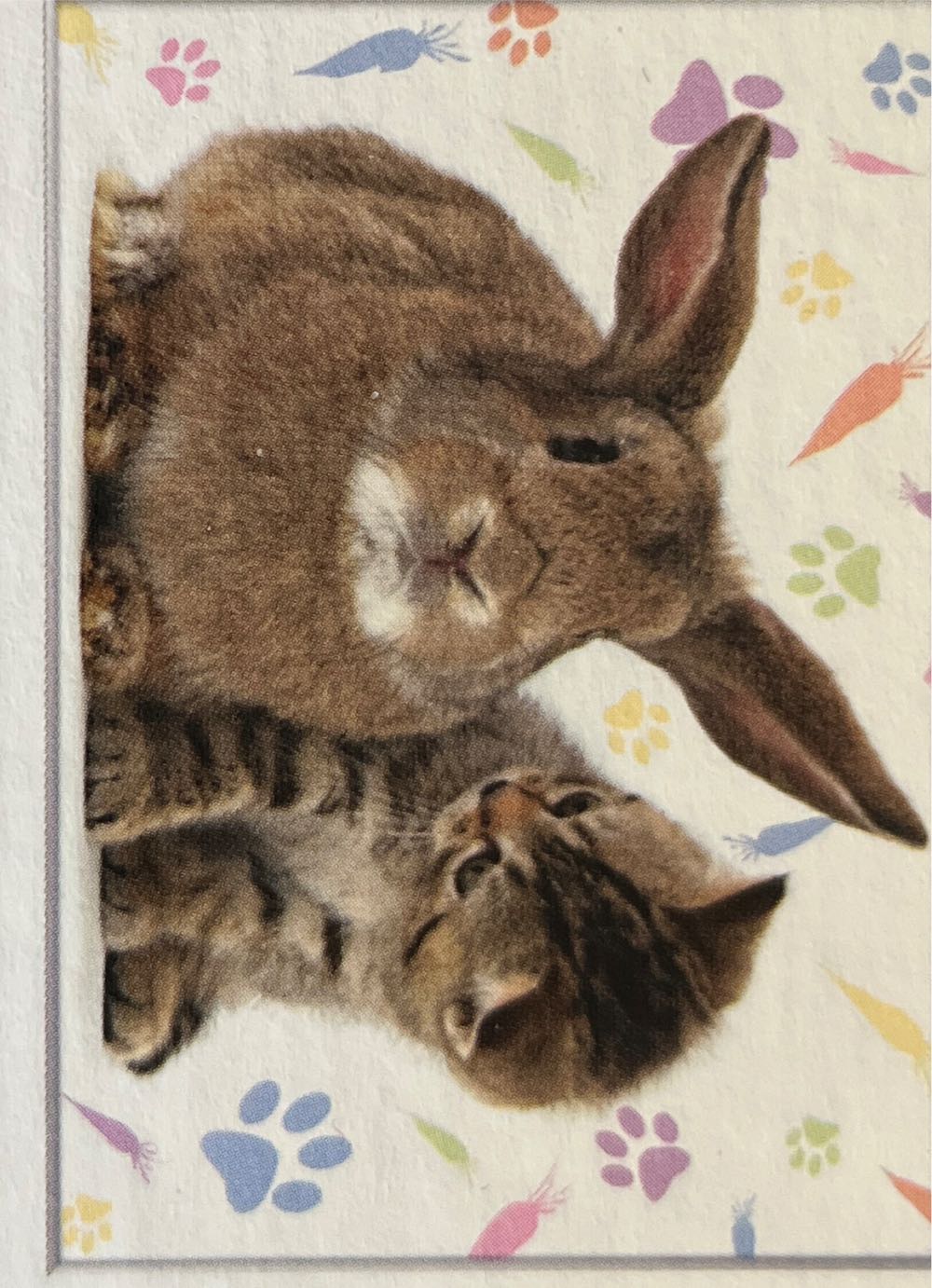 Happy Winter Friends