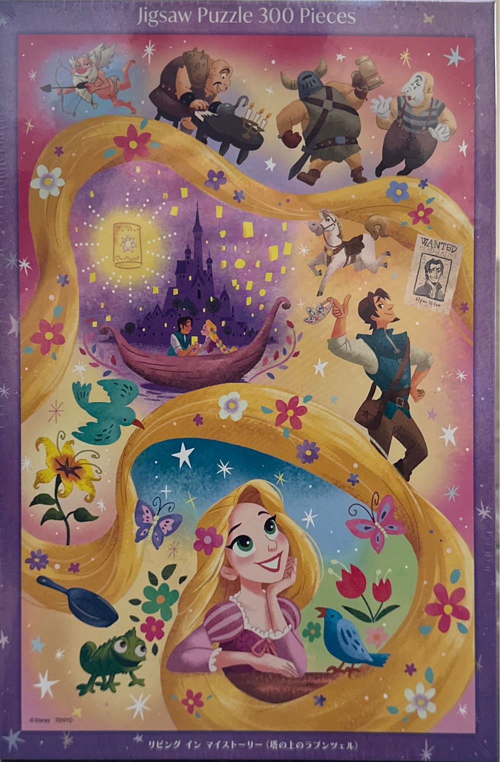 François Ruyer: ”the Witch” Pieces Puzzle