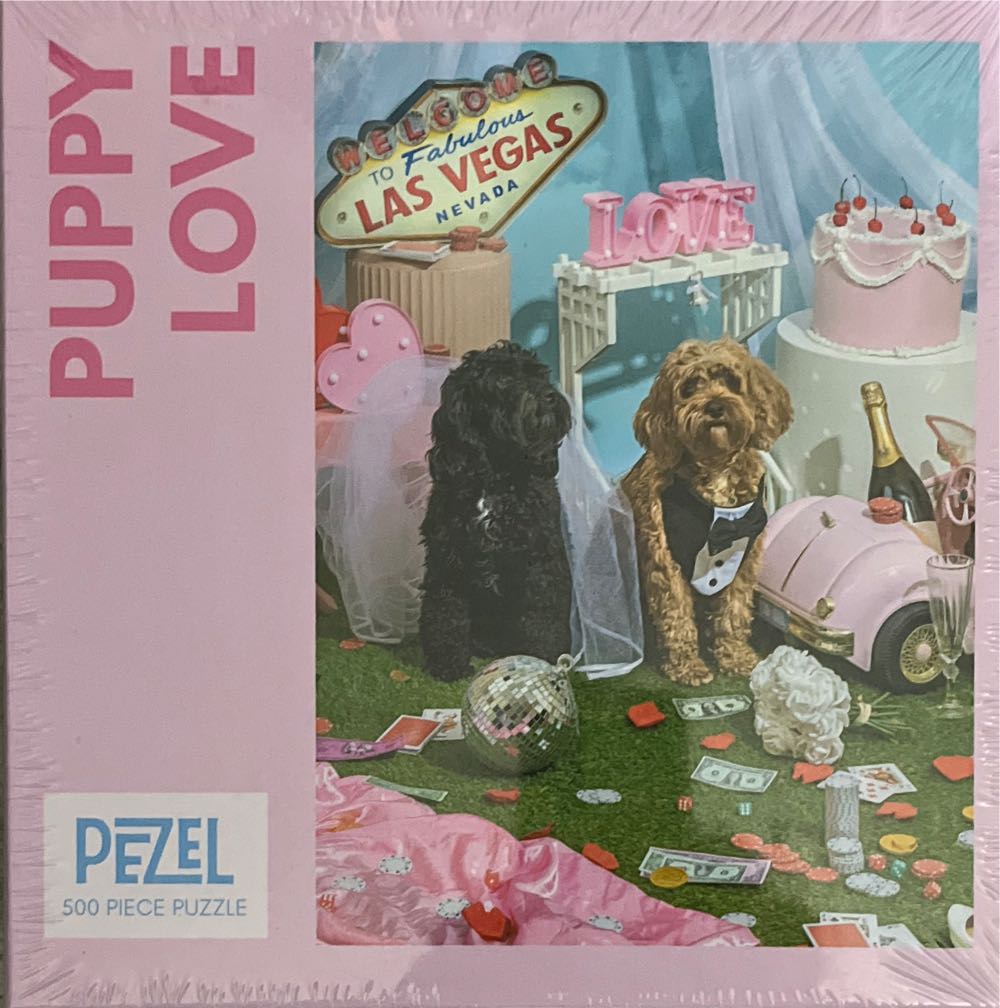 The Kiss By Francesco Hayez 1000 Piece Puzzle New Sealed