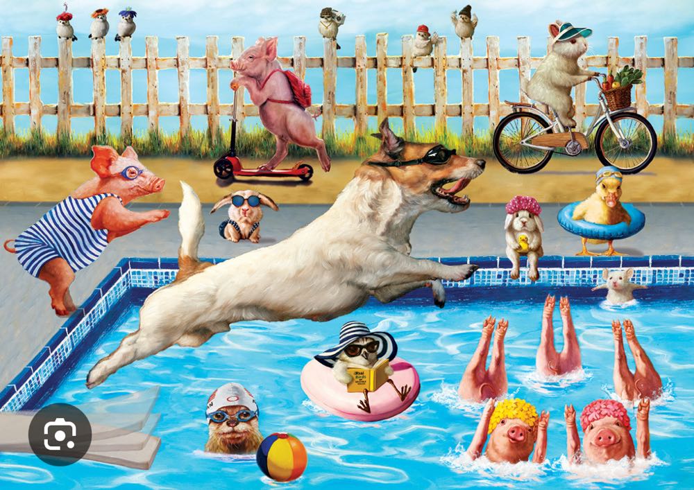 Vieux Port De Cannes ✅