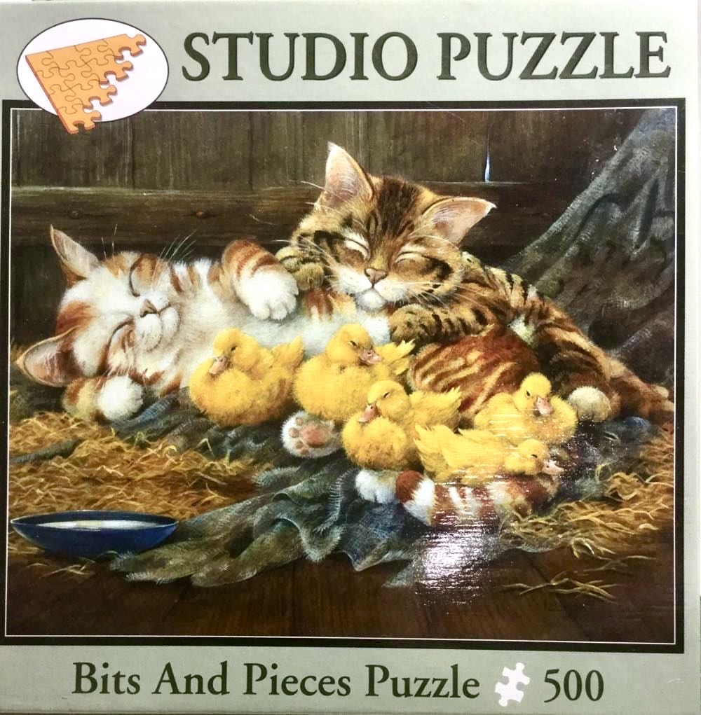 Day Out With The Family Saskia Lenen