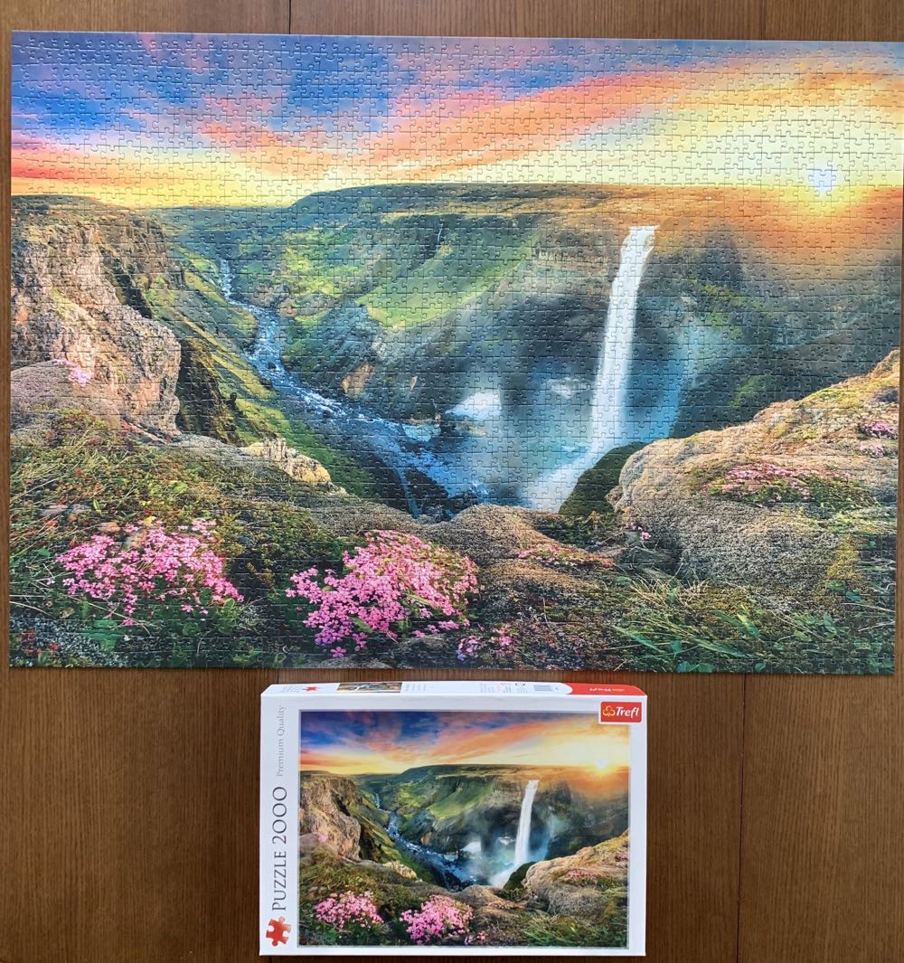 Sonic The Hedgehog 44621