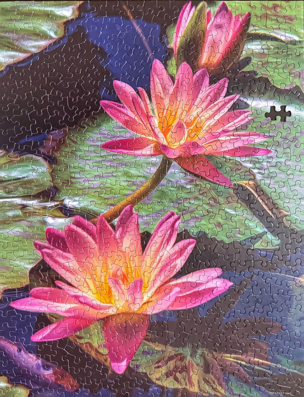Water Lilies*^ - Springbok puzzle collectible - Main Image 3