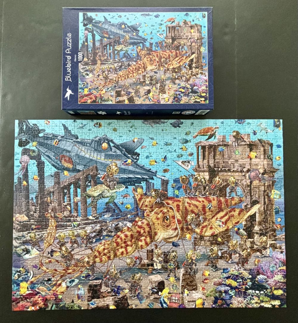 Ocean City NJ 13th Edition