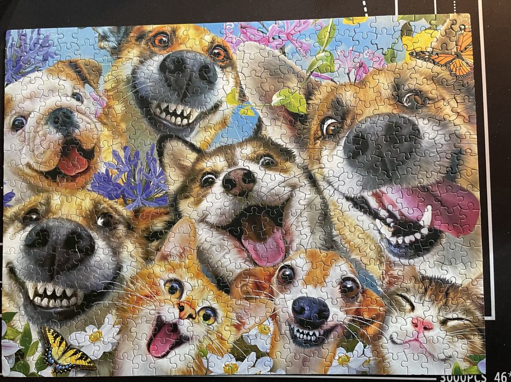 Пъзел Black Sea от части Драконче в царството Din Piese Un Mic Dragon