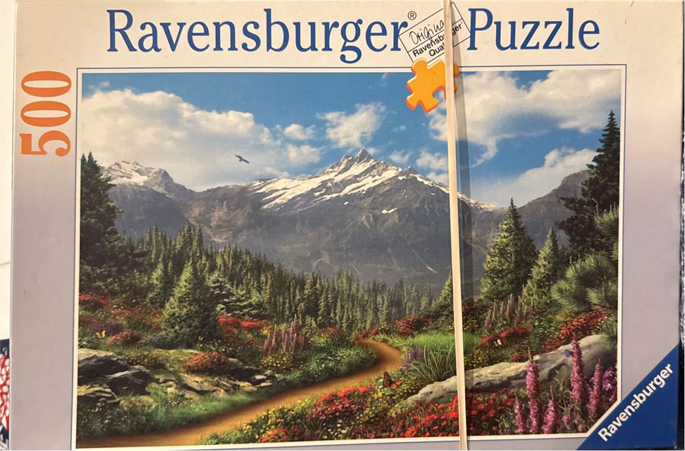 Dolphins in the coral reef