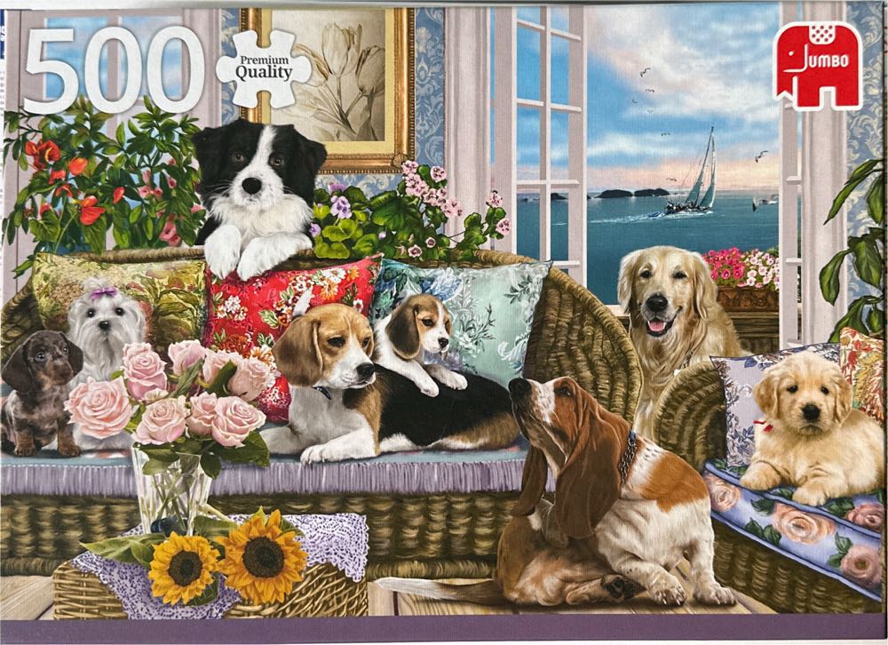 Ayahuasca Aura 🆕🚪