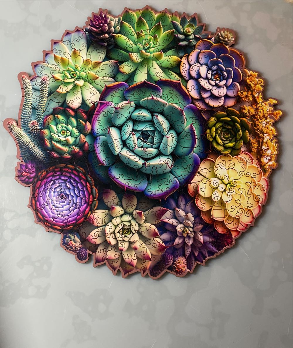 Disney Parks Up 15th Anniversary Double Sided ...