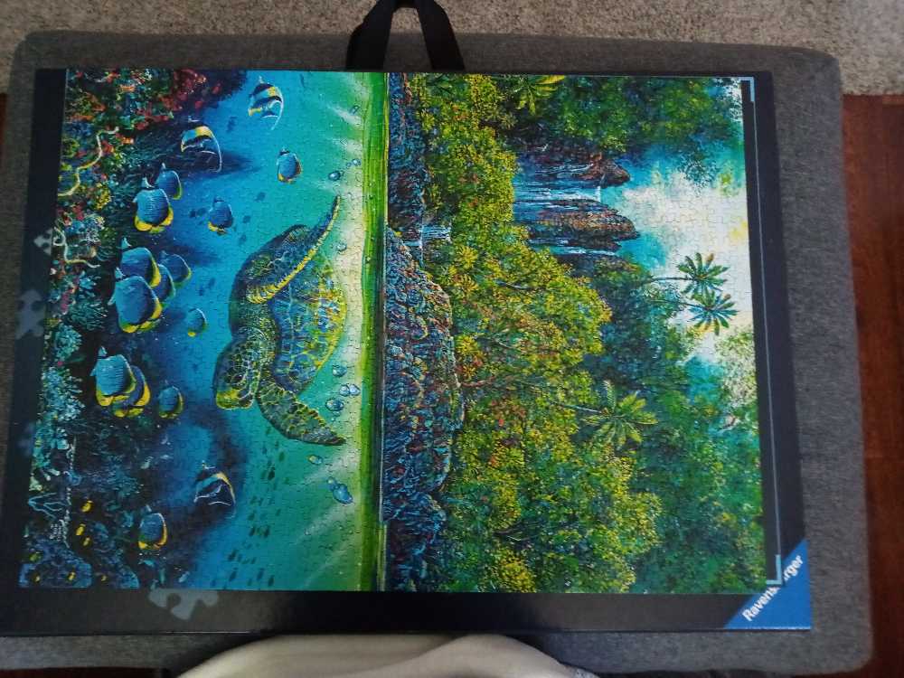 Savannah historic District