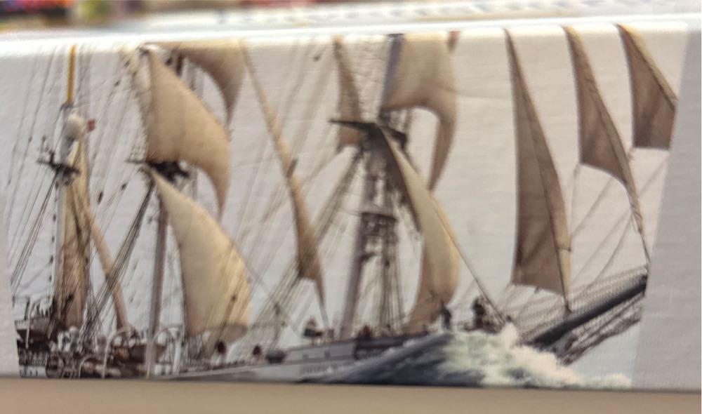 D-1000-902: Welcome to my house! (2026 Calendar)