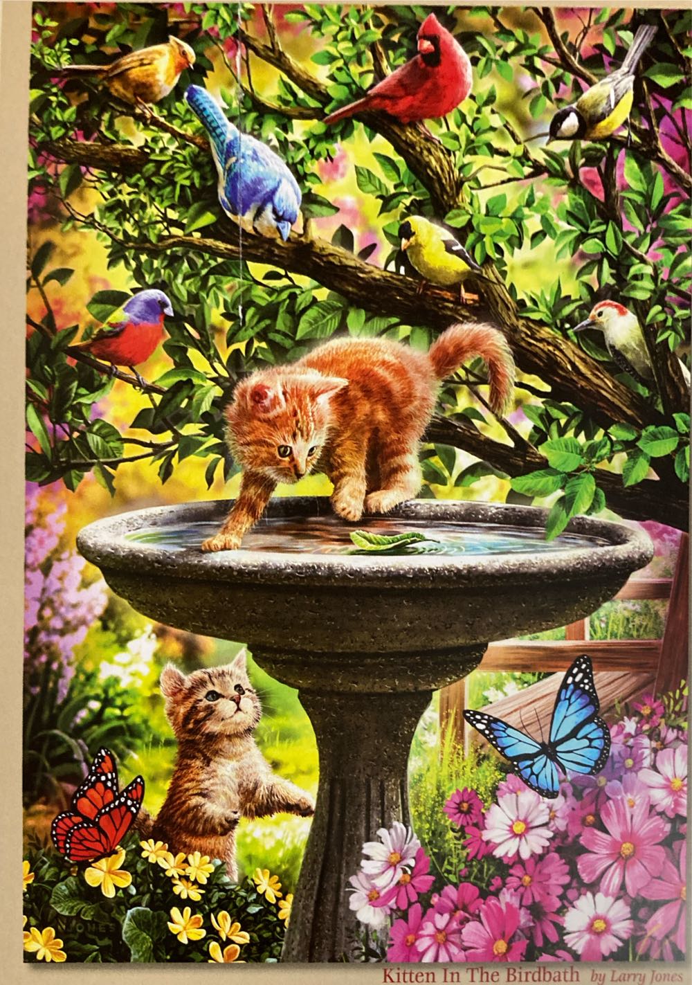 Kitten In The Birdbath - Bits & Pieces puzzle collectible [Barcode 192949089137] - Main Image 2