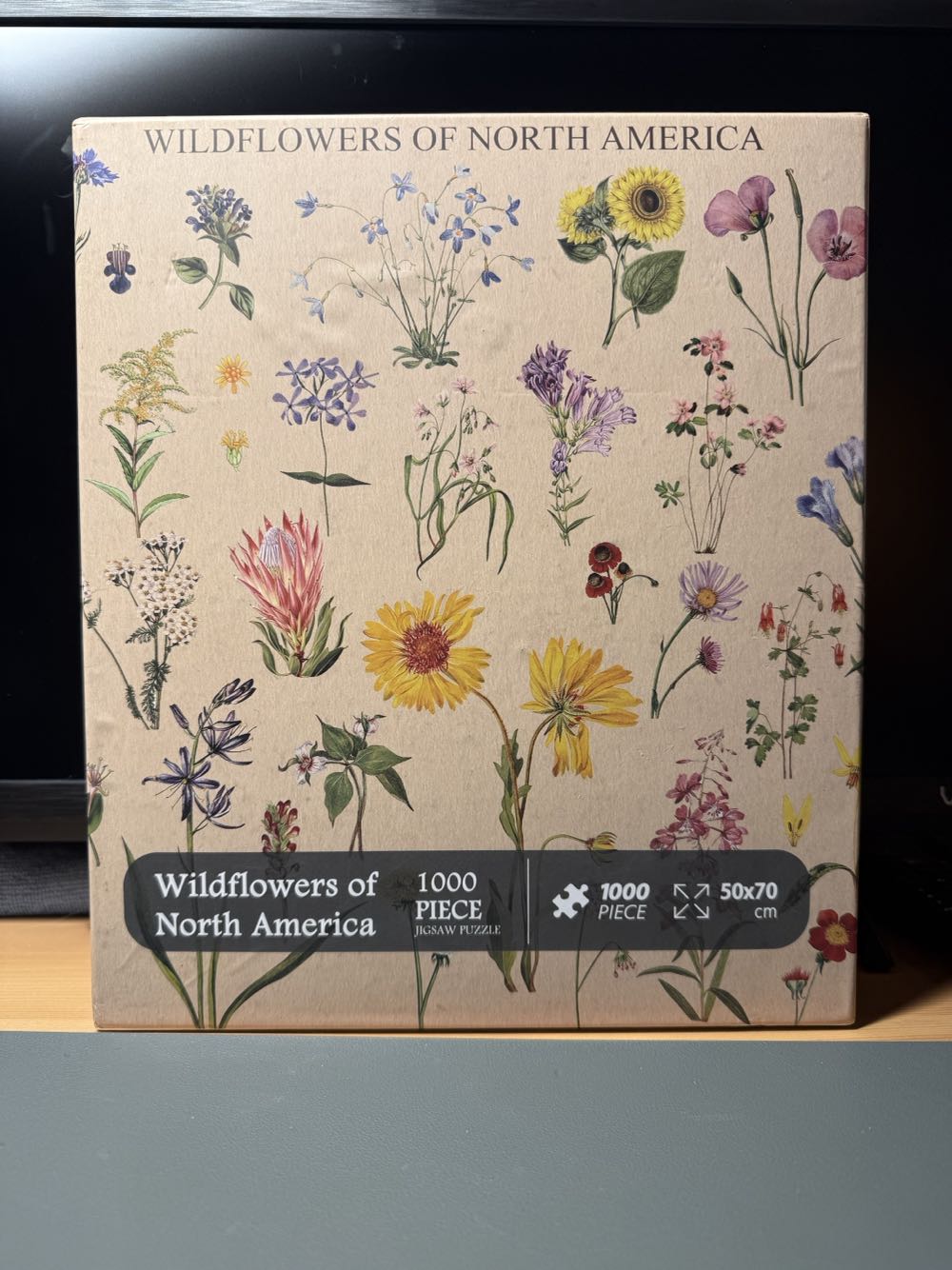 Jean Guichard Lighthouse