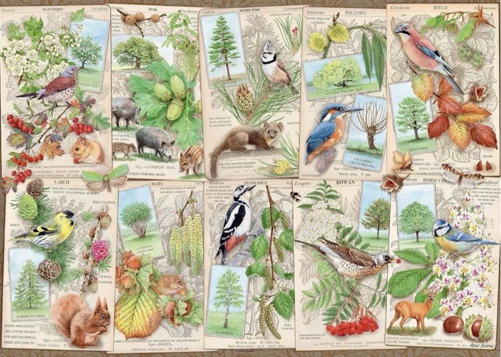 Wondrous Trees - Ravensburger puzzle collectible [Barcode 4005556164219] - Main Image 2