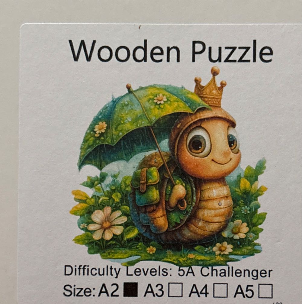 Seeing And Being Seen