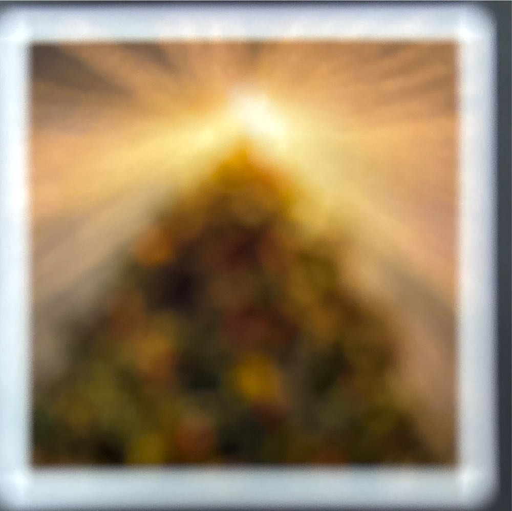 Christmas Village✅🚫