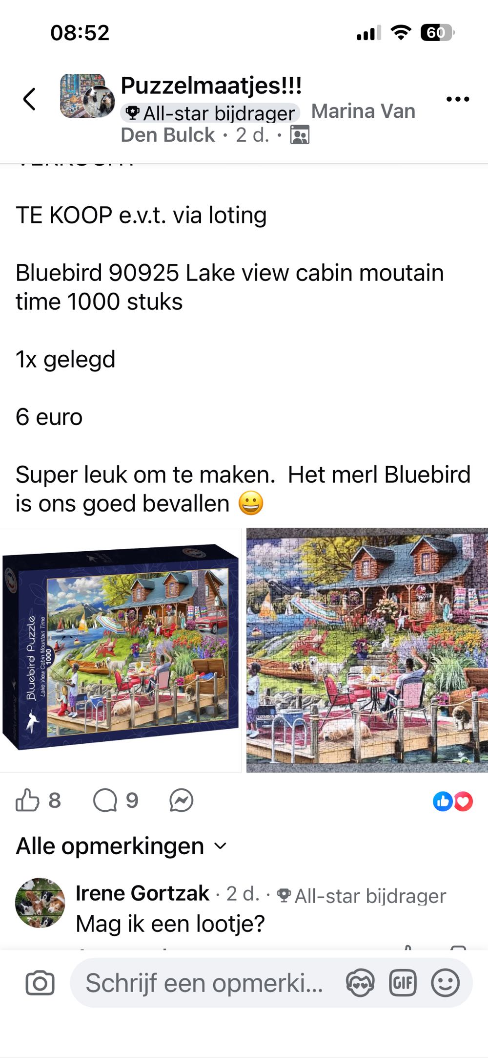 Lake View Cabin Mountain Time (Betaald) - Bluebird Puzzle puzzle collectible [Barcode 3663384909252] - Main Image 4