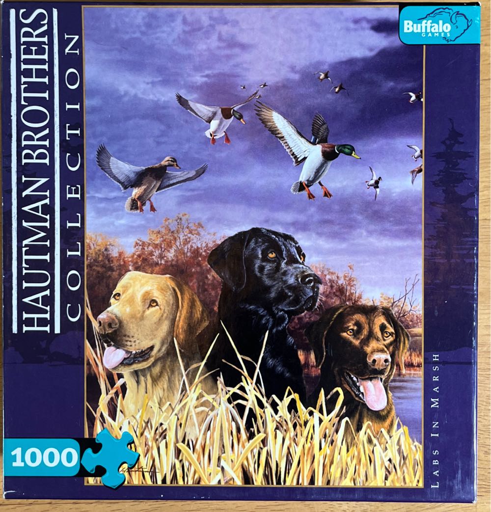 Elephant Festival BAC