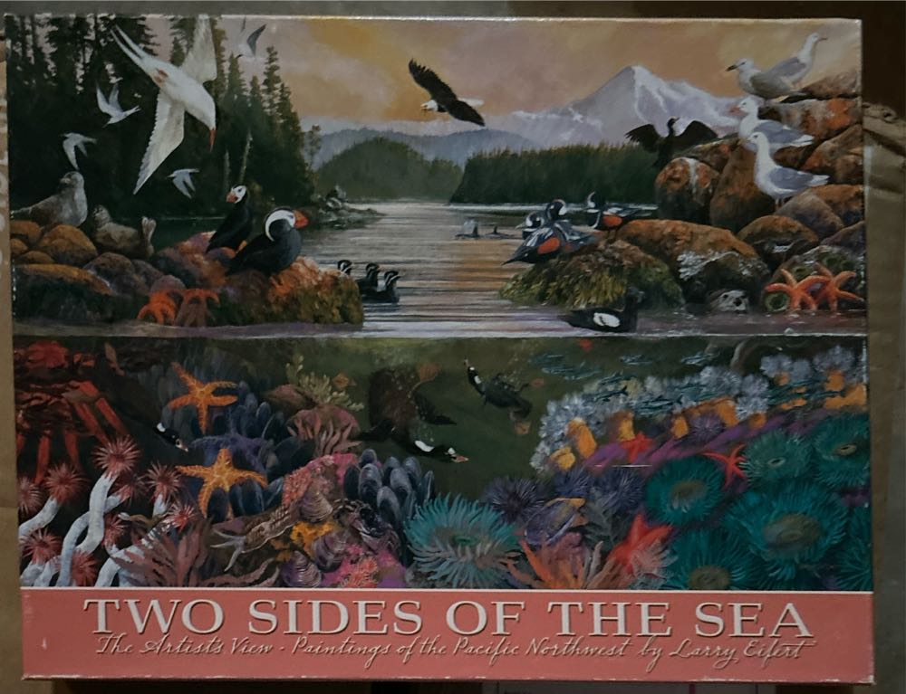 Of The Power Of Dragon Bluebird Pieces Moc Smoka Poder 1 000 Månens Teile De