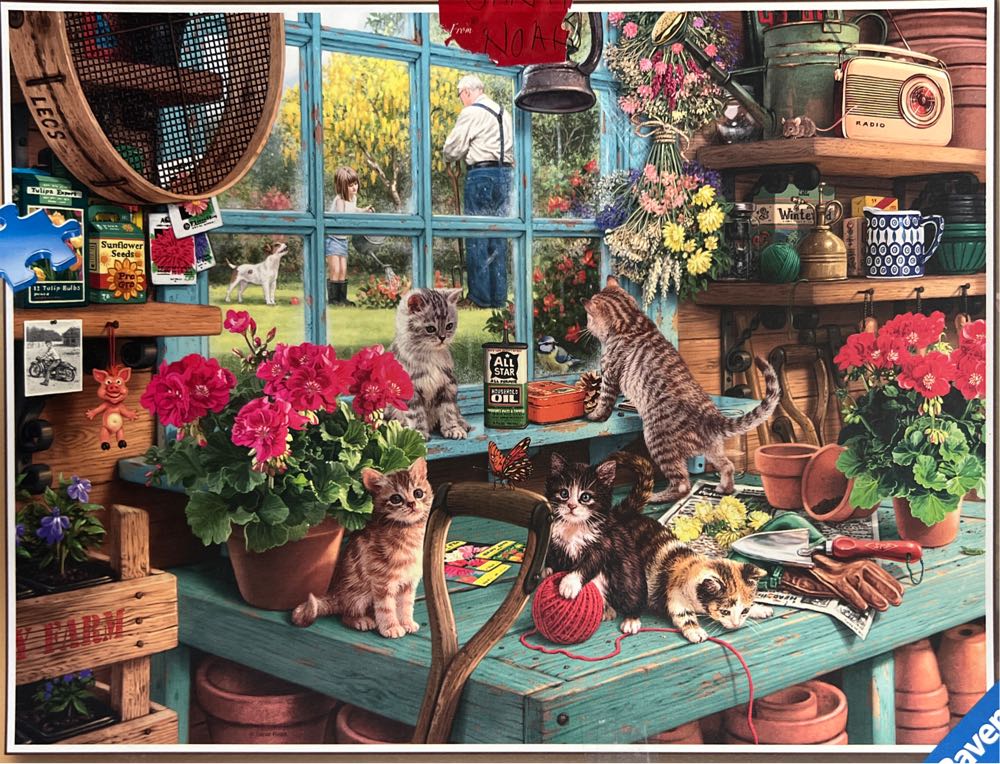 BEV-31-404: Sanrio Toy Shop