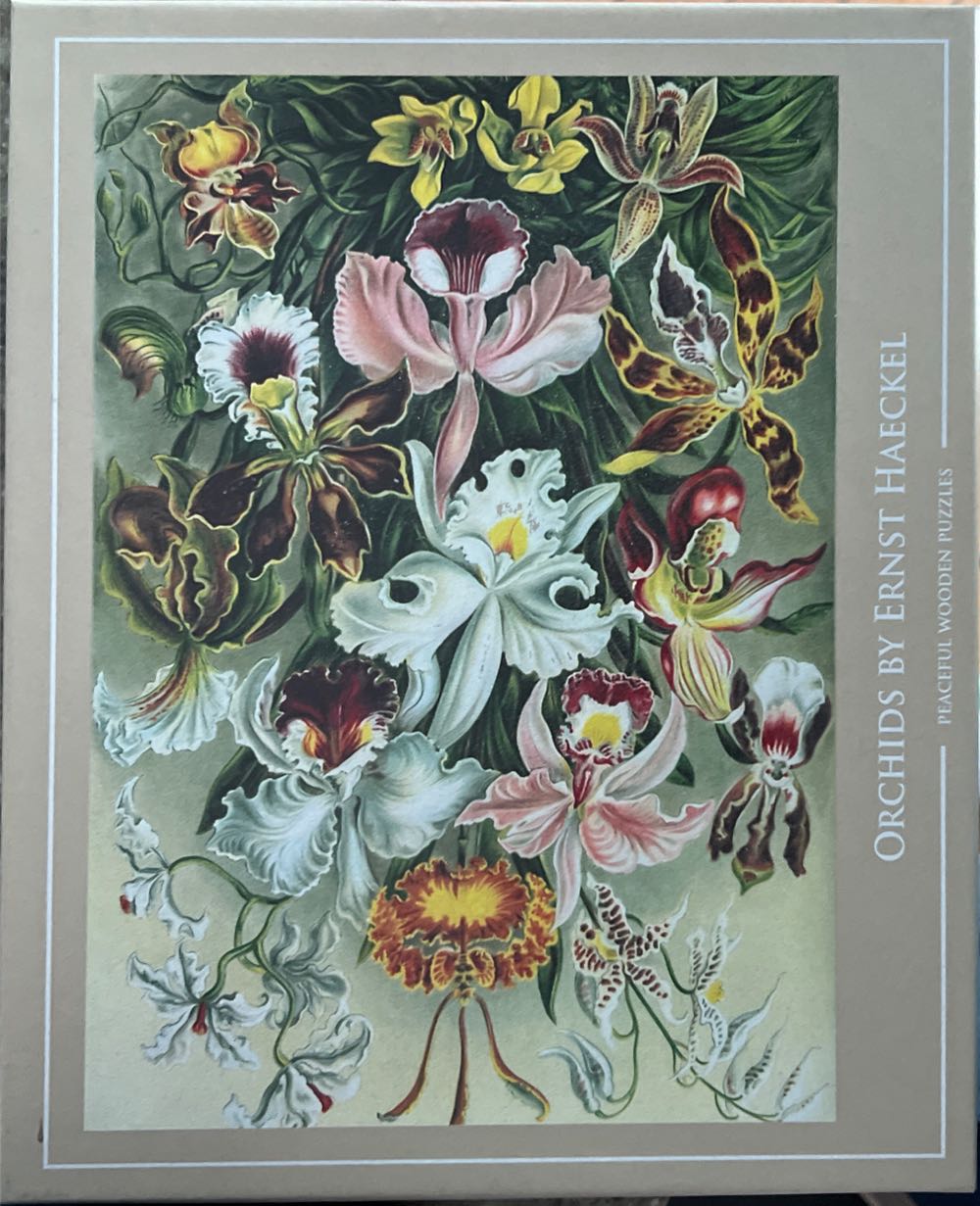 Deliver Us From Evil