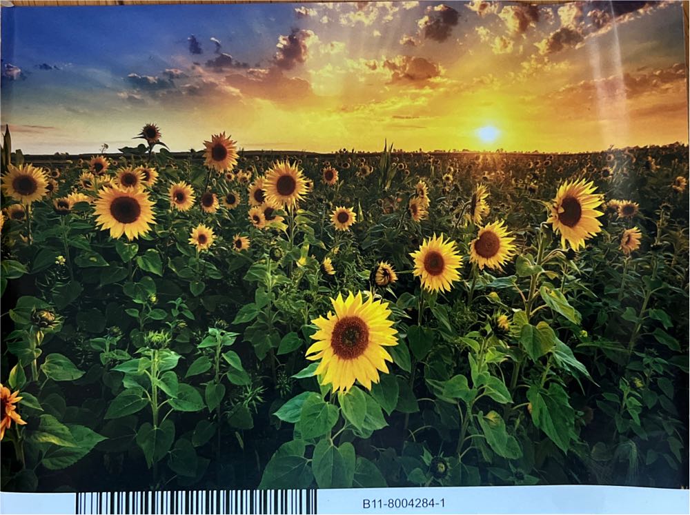 Piece ~ Springbok Christmas Village Snow Church Springbok ~ Piece Church Snow New