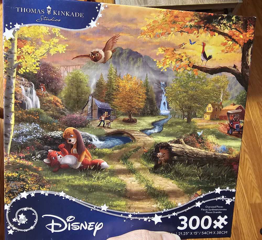 The Travelling Library