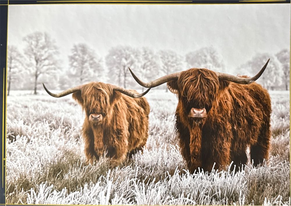 D-300-222: Stitch’s dream