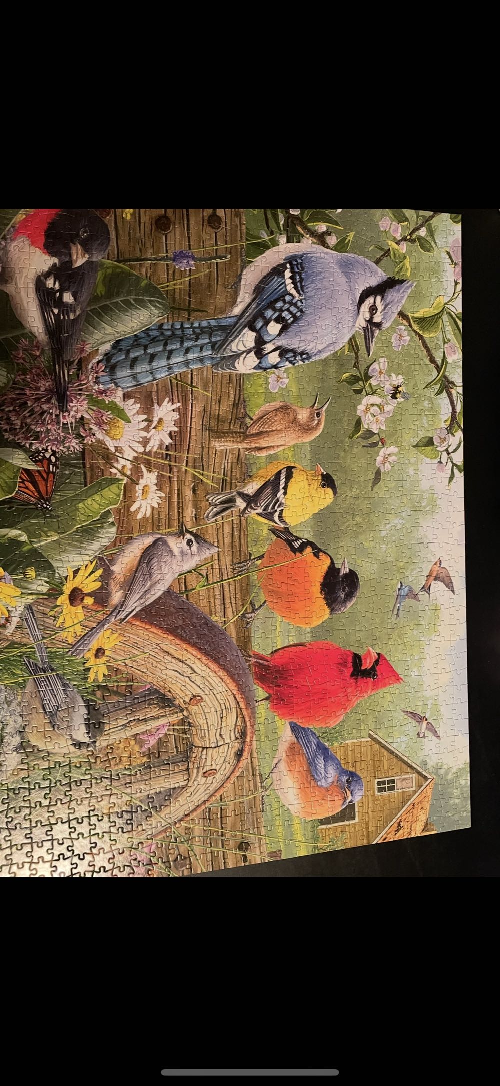 D-300-287: Starlight City