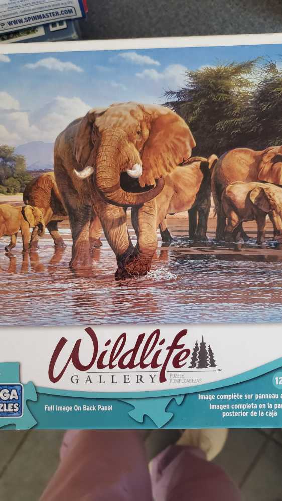 Billie B. Brown Book And Puzzle Set