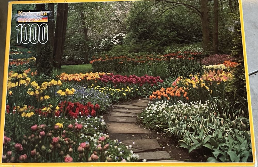 Pieter Bruegel The Wedding