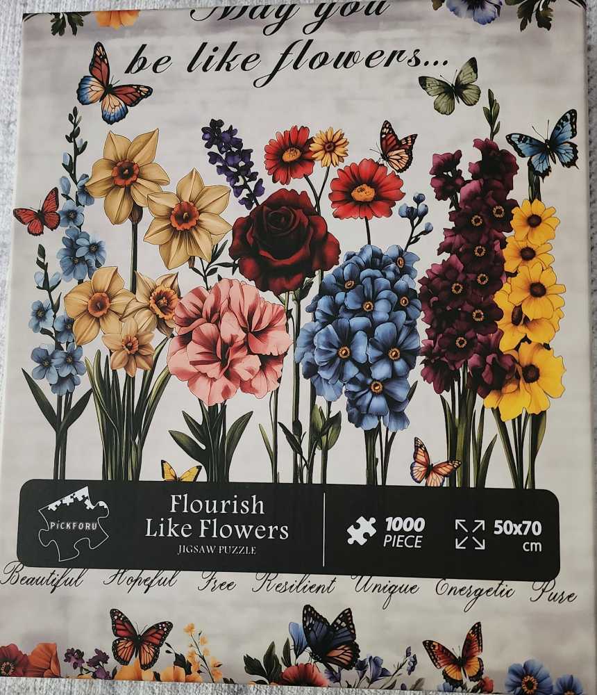 Main Street Memories