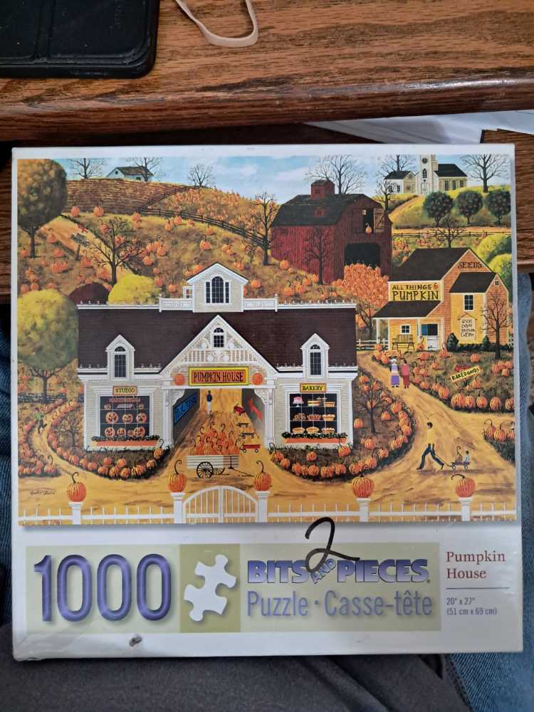 Wild Horses New Forest