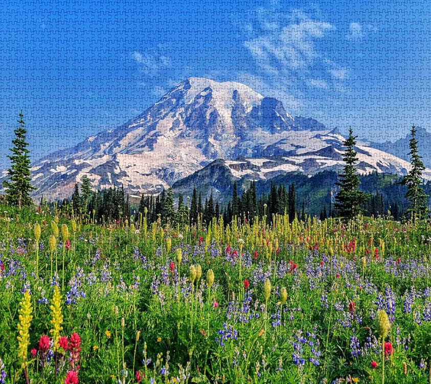 Endangered Species : The Rainforest