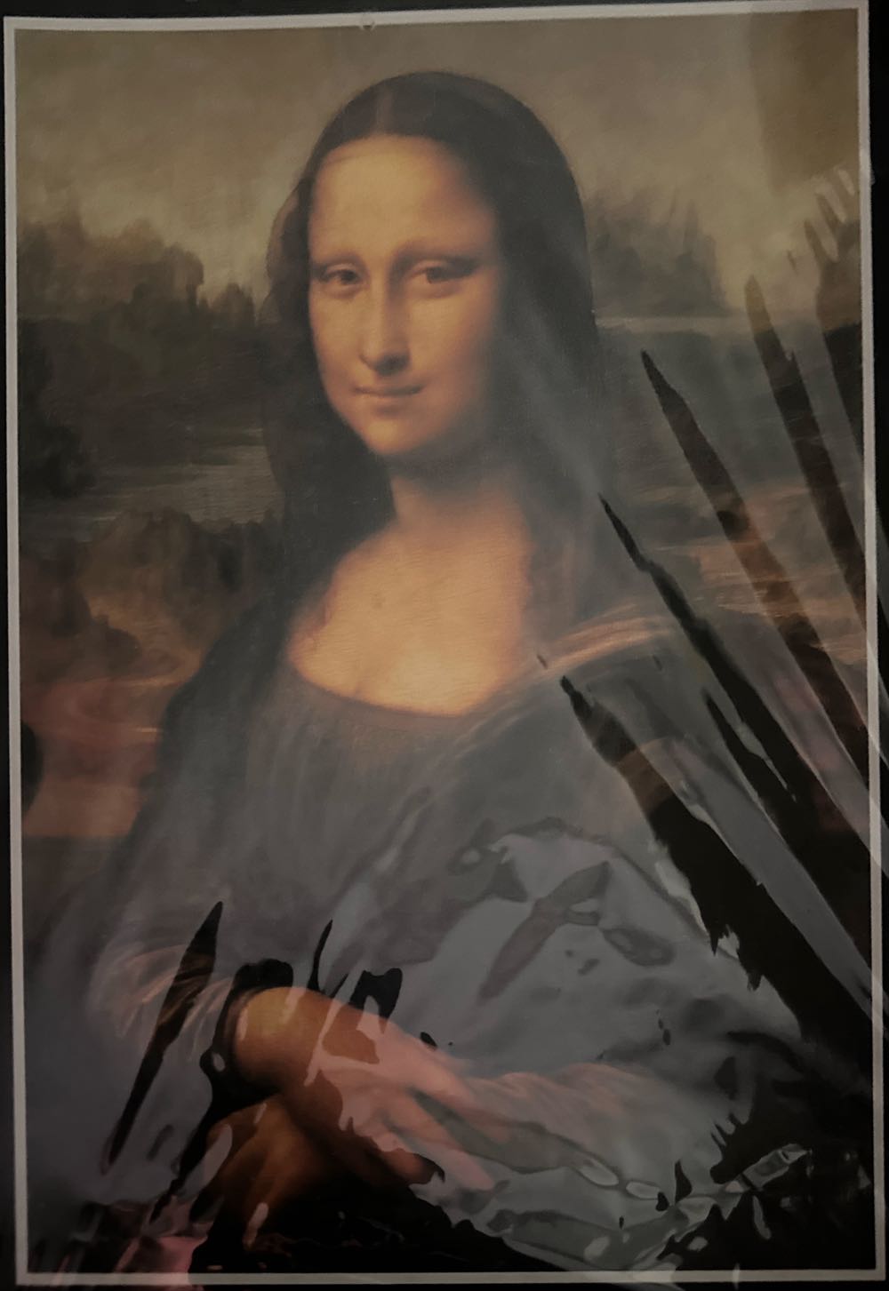 Funny Animal Portraits