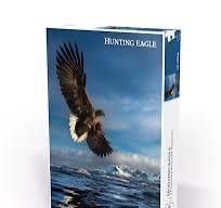 Footbridge To Nature Puzzle 1000 Piece