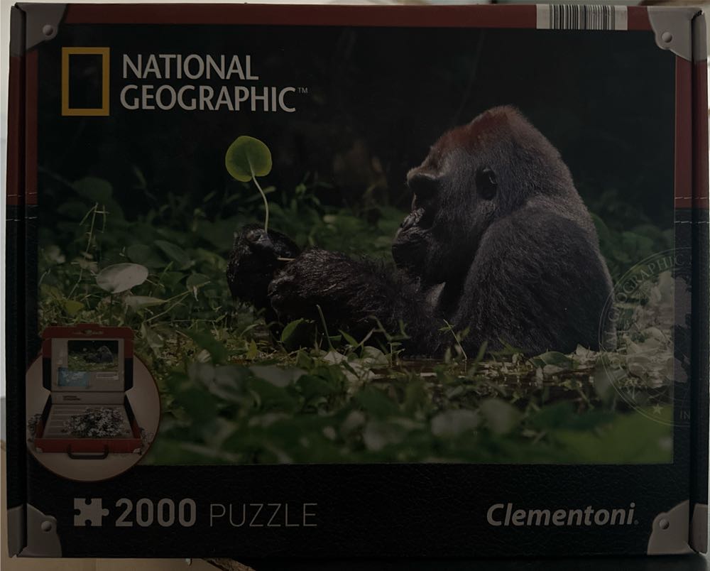 Masterpieces Selfies Dinosaur Chums 200 Piece Jigsaw Puzzle