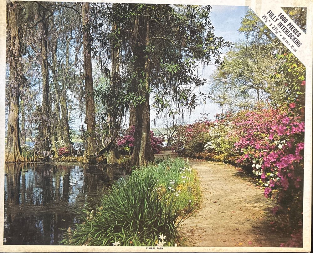 D-500-324: Let’s Make A Rainbow!