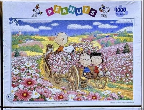 The Curse Of Castle Mcduck