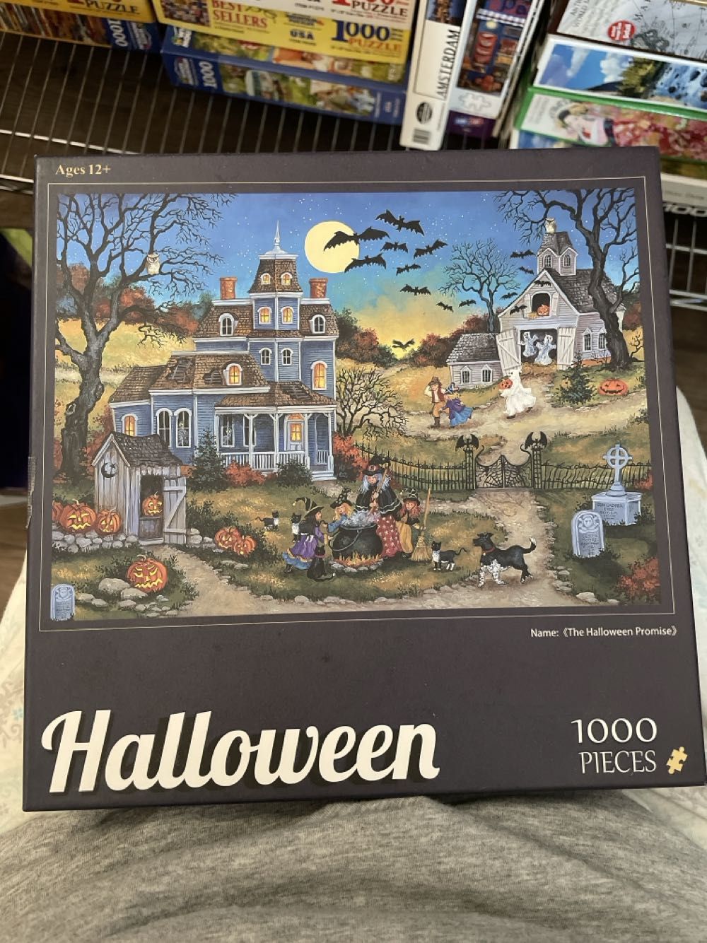 Masterpieces Cityscape Panoramics Puzzles Collection New York Panoramic Piece Jigsaw Puzzle