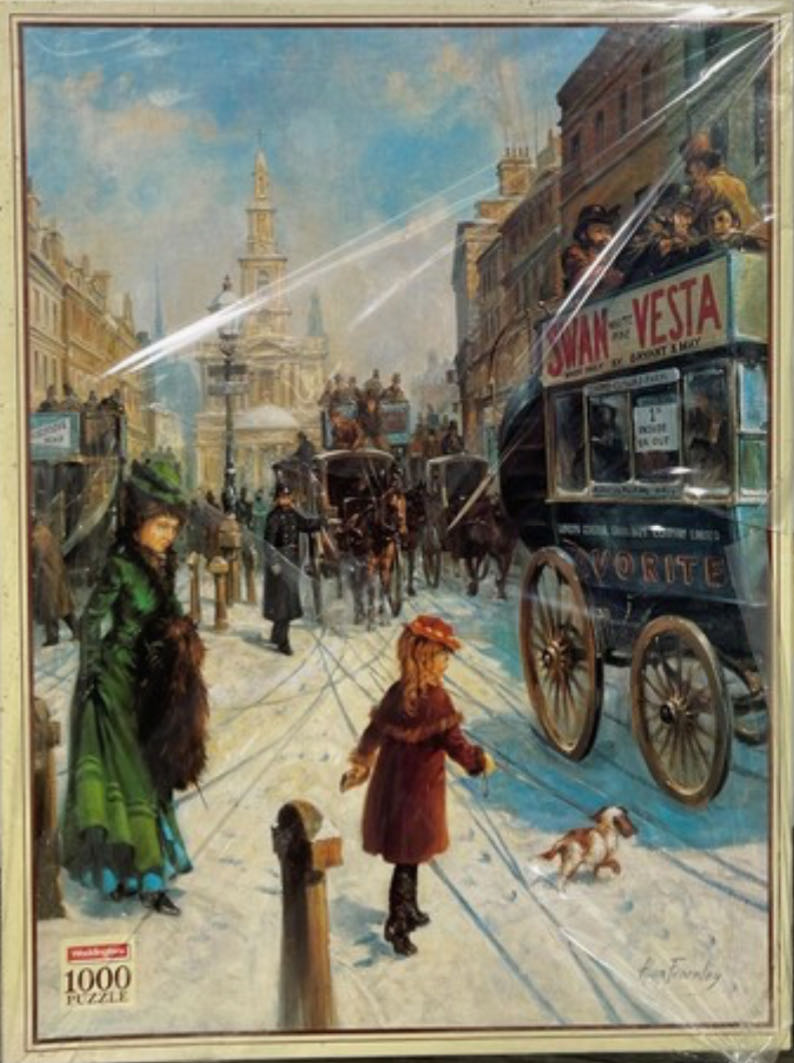 Hide And Seek Dolphins